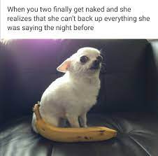 The Best Big Dick Memes 🤣 | The Big Dick Guide