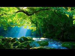 Veja mais ideias sobre música relaxante, musica, música para relaxar. Youtube Entspannungsmusik Meditation Musik Meditation Entspannung