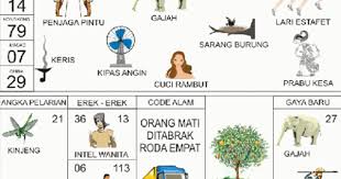 Nomor Burung Walet Dalam Togel Bird Wallpaper