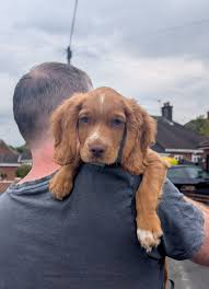 Today is my Birthday 🥳 But no one loves me because i'm not cute😭🥳😓