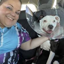 SUMMER STREET ANIMAL CLINIC