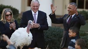 Thanksgiving team names posted by lissa eckert — october 13, 2016 before you gather around the table, bring your family together for pie preppin' or turkey trottin' with a thanksgiving team name fit for the feast to come. Cieveerfpxw Sm