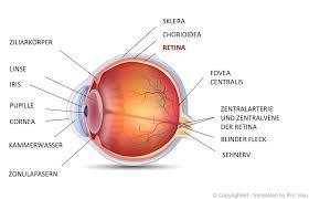 Retinoblastom