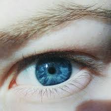 Nayra Viana Adli Kullanicinin Eyes Panosundaki Pin Yesil Gozler Goz Rengi Gozler