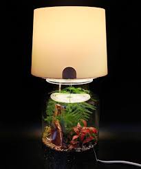 Terrarium Lamp An Easy Hack For Your Miniature Garden Ikea Hackers Lamp Miniature Garden Succulent Wall Planter