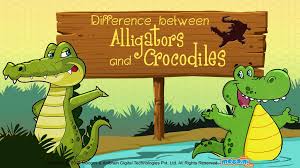 What Is The Difference Between Alligators And Crocodiles Gk Mocomi Crocodiles Crocodile Facts For Kids Crocodile Facts