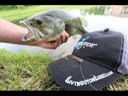 Fish Hook On Bill Of Hat Off 75 Medpharmres Com