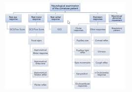 Image result for Coma Exam