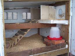 Chicken Coop Interior Photo Chicken Coop Chickens Backyard Backyard Chicken Coops
