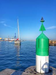 Ils Navigaient En Pere Peinard Sur La Grande Mare Des Canards Georges Brassens Port De Plaisance De Sete Brassens Bassin Pere