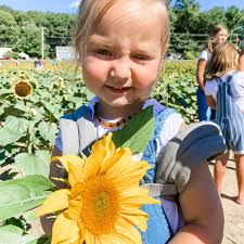 Profile for Abby O'Neil