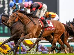 2021年1月30日(土) 開場 12:00 (jst)開始 @ 非公開 lion's break: M5 Oj5bejlzism