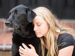 When it comes to one of the hardest decisions you'll face with your pet, we're here to support you. In Home Euthanasia Lap Of Love