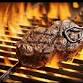 2025 National BBQ Championships - Forbes event image