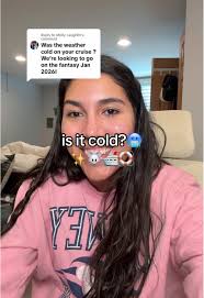 Disney Fantasy Cruise: January Experience