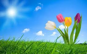 Spring Wallpapers HD