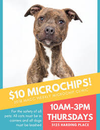 There are 194 pet friendly hotels in nashville. 10 Microchips Metro Nashville Animal Care And Control Facebook