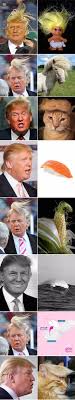 Https Www Facebook Com Groups 1710816119179412 1717196071874750 Laughing Pinterest Donald O Connor Jokes And Clinton N Jie