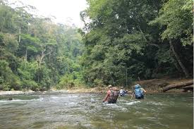 • perbadanan taman negeri perak adalah merupakan badan berkanun kerajaan negeri perak. Sexyloops Sungai Tiang Mahseer