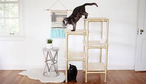 Create a cat tree from natural branches. Make A Modern Cat Tree Out Of Pvc Pipe Cuteness