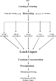 flowchart for uranium bioprocessing download scientific