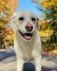 TPD Construction Co.