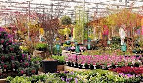 Thurnham, lancashire, england, lancashire, la2 0dt, united kingdom. Barton Grange Garden Centre Garden Centre In Brock Garstang Visit Lancashire