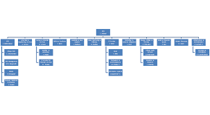 File Infosys Org Chart Png Wikimedia Commons