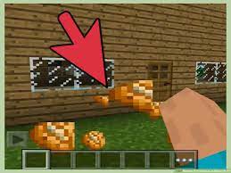 4v4s takes a little bit longer to level, but gets you more wins. How To Find Potatoes In Minecraft Pe 8 Steps With Pictures