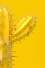 Cactus Yellow Yellow Aesthetic Tumblr Yellow Yellow Aesthetic Pastel