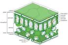 what are the 2 main parts of photosynthesis