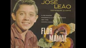 José Leão Flor Mamãe