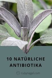 Naturliches Antibiotikum 10 Pflanzliche Antibiotika Gegen Erkaltung Gesundheit Naturliche Gesundheit Gesundheitsprodukte