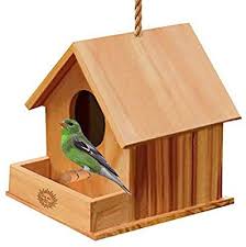 Bird Feeders For Small Birds Amazon Amazon Com Paintable Bird House Bird Watching Made Easy Attracts Small Birds Like Finch Parakeet Craft Fo Bird House Bird House Kits Finch Bird House