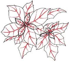 There are two components which most manufacturers use. How To Draw A Poinsettia Howstuffworks