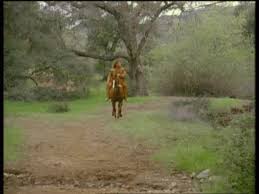 See more of pour le meilleur et pour le pire on facebook. Sully Site Jimdo De Tournesol Oc Sully