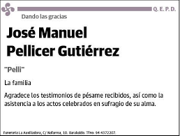 PELLICER GUTIERREZ,JOSE MANUEL