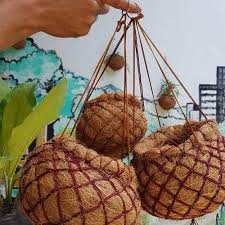 Check spelling or type a new query. Jual Pot Sabut Kelapa