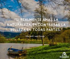 Pin On Frases Con Imagenes