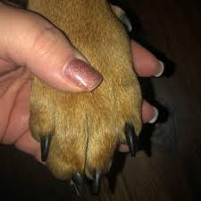 Check spelling or type a new query. Animal Care Center 18 Photos Veterinarians 11440 Winton Rd Forest Park Oh Phone Number Yelp
