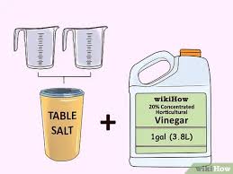 We did not find results for: How To Kill Weeds With Vinegar 10 Steps With Pictures Wikihow