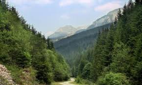 Satu mare is a city with a population of 102,400 (2011) and the capital of satu mare county, romania, as well as the center of the satu mare metropolitan area. Die 10 Besten Hotels In Baia Mare Rumanien Ab 20