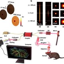 Adam de la Zerda's research works