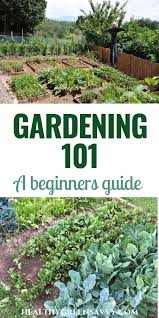 Gardening 101 How To Plant A Garden For Beginners Healthygreensavvy Vegetable Garden For Beginners Organic Gardening Tips Home Vegetable Garden