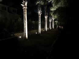Tree Lights Lighting Gallery