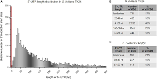 Hijau=faham kuning=tidak pasti merah=tidak faham. Frontiers Extensive Reannotation Of The Genome Of The Model Streptomycete Streptomyces Lividans Tk24 Based On Transcriptome And Proteome Information Microbiology