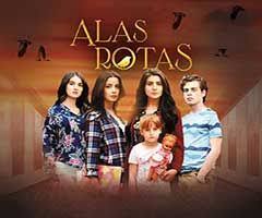 Sinopsis De La Telenovela Alas Rotas Alas Rotas Imagen Tv Series Completas En Espanol