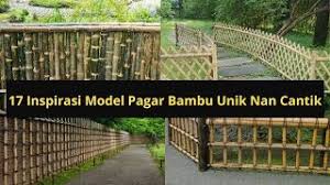 Bambu adalah tumbuhan berbunga menahun hijau abadi dari subfamili bambusoideae yang termasuk famili poaceae. Cara Membuat Pagar Bambu Dengan Cepat Part 2