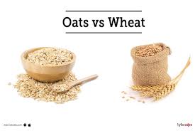16% fat, 67% carbs, 17% protein. Oats Vs Wheat Which One Makes A Healthiest Breakfast By Dr Sanjeev Kumar Singh Lybrate