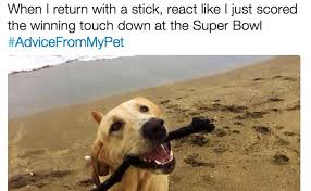There is little to no room for advancement which was the biggest downfall. The Pet Doctor The Petdoctor Twitter